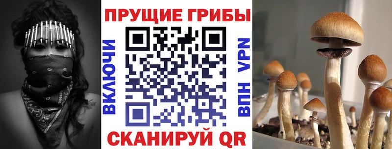 Галлюциногенные грибы ЛСД  купить  цена  Мезень 